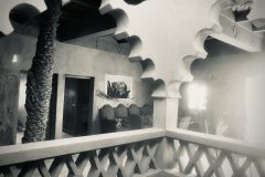 Atrium_BW